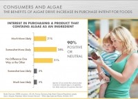 Solazyme consumer research