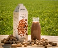 peanut milk in field