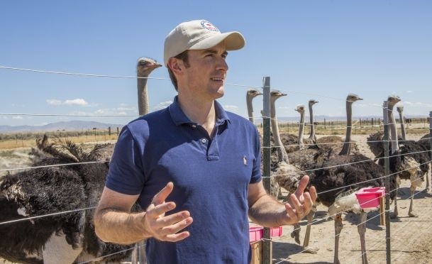 ALEXANDER MCCOY, founder, American Ostrich Farms: Pound for pound, ostriches can sustainably produce far more meat per acre than any other red meat 