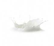 To date, two companies have submitted novel food applications to the European Food Safety Authority (EFSA) for precision fermentation-derived dairy proteins. GettyImages/seamartini