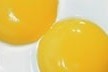 Food giants accuse egg producers of a decade of price fixing