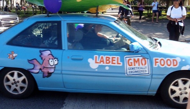 The GMA says mandatory GMO labeling is a huge waste of time and money, but supporters say they have a right to know. Picture by Daniel Lobo, flickr
