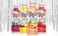 Treo Brands adds a touch of fruit to new birch water range