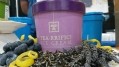 TEA-RRIFIC’s newest flavor is Lavender’s Blueberry
