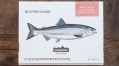 Patagonia Provisions launches wild pink salmon