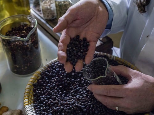 Kerry-Juniper-Grasse_37040-002.jpg