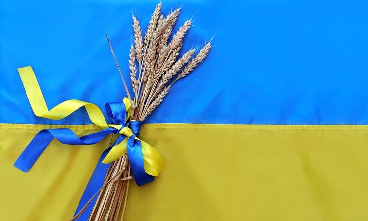 ‘The key problem is logistics, not food production’: Ukraine shares agricultural challenges amid 'Russian aggression'