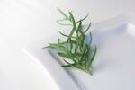rosemary.jpg