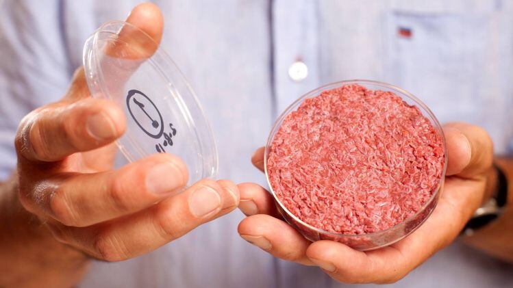 Orthodox Union: Cell cultured meat could dramatically lower the cost of kosher meat in future
