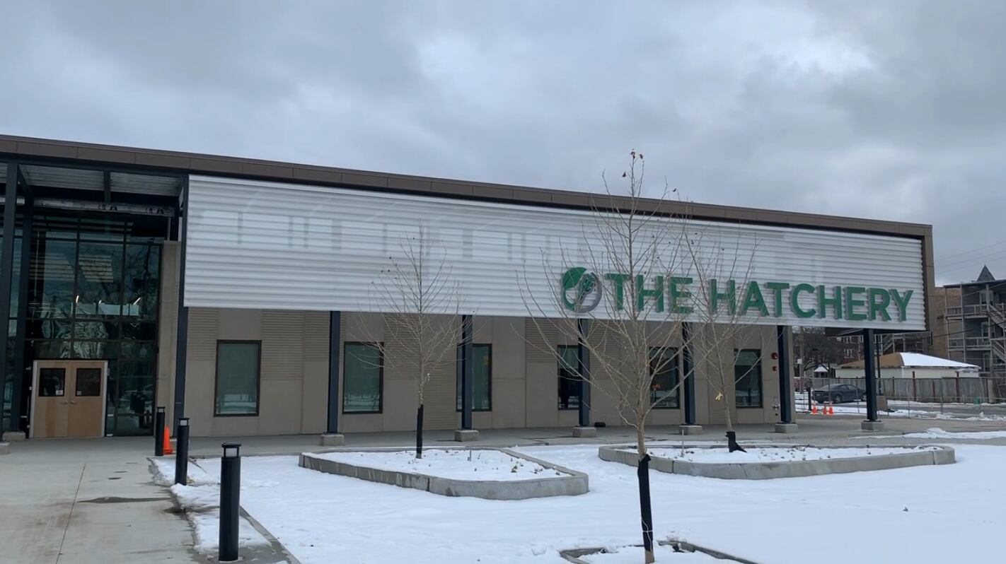 TheHatchery_video.png