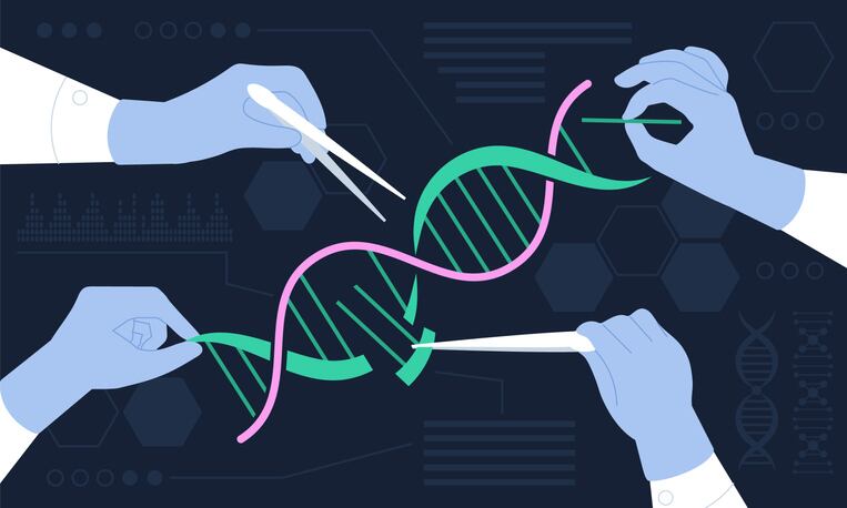 FDA guidance on foods derived from gene-edited plants ‘doubles down’ on view that safety hinges on the final product, not the production method