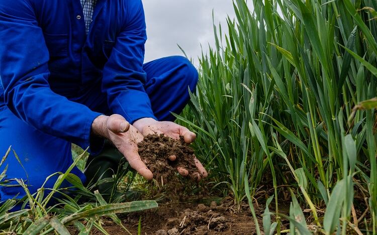 Healthy-soil-GettyImages-SolStock.jpg
