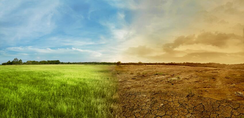 Feeding 10 billion people sustainably by 2050 may be possible; this is how, say researchers