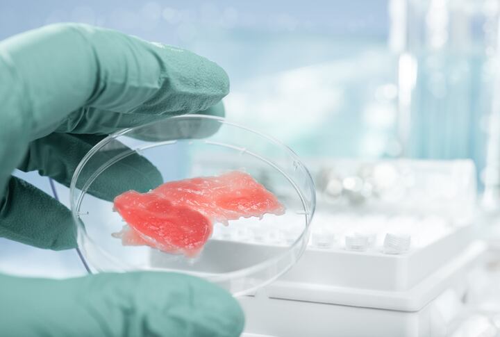 Clean meat, consumer attitudes and the transition to a cellular agriculture food economy