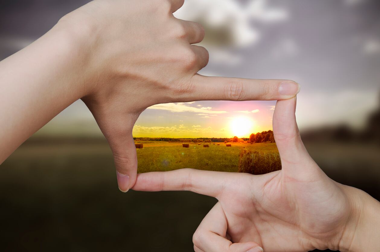 Radical-transparency-is-needed-to-overcome-greenwashing-scepticism.jpg