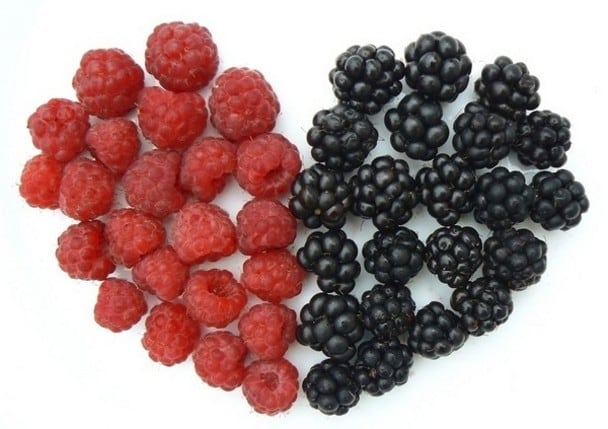 Fruit-heart-large.jpg