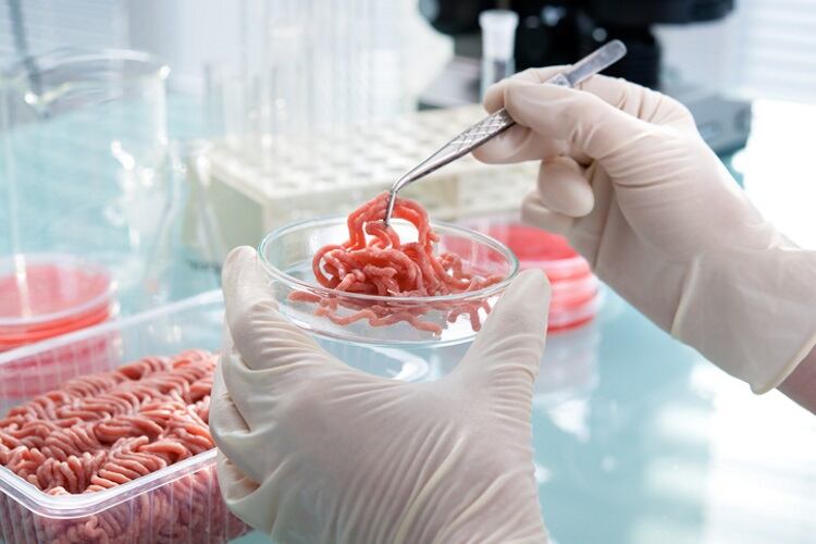 US farmers support cell cultured meat plan