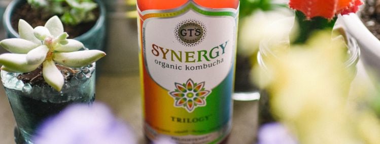 GT-s-kombucha.jpg