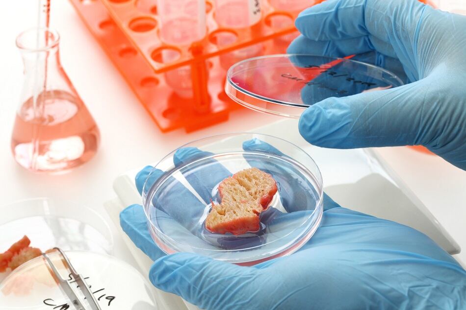 Survey-A-rising-generation-of-food-consumers-embrace-new-food-technologies.jpg