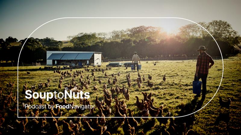 A chicken farmer feeds his flock in a field