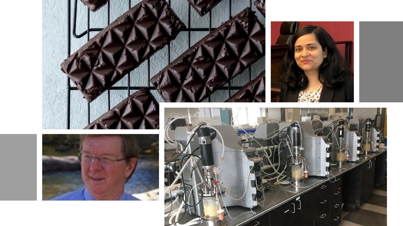 ‘It all comes down to rate, titer, and yield…' Precision fermentation startup Seminal Biosciences gears up for 2024 launch of cocoa butter alternative