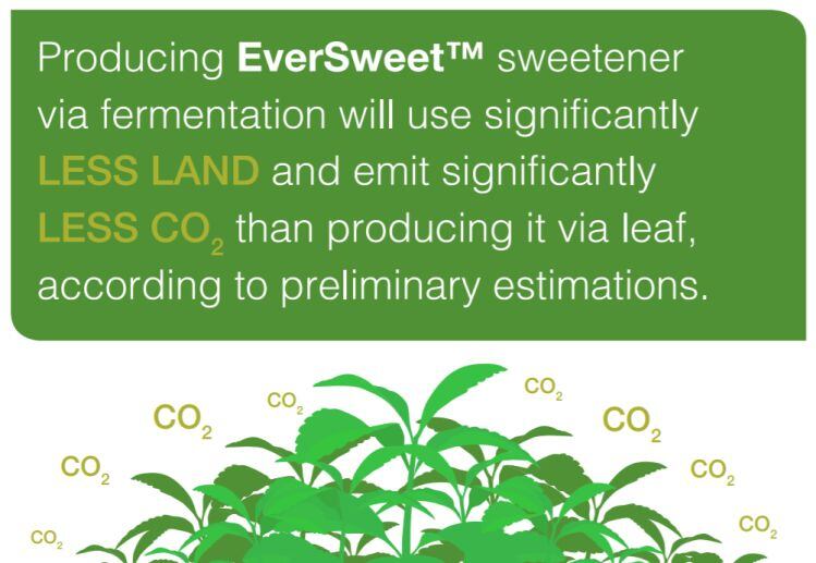 eversweet-sustainability.jpg