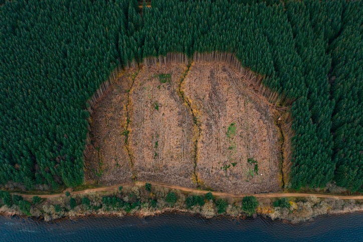 Using carbon offsets to cut your GHG emissions? It could all be hot air, scientists warn  