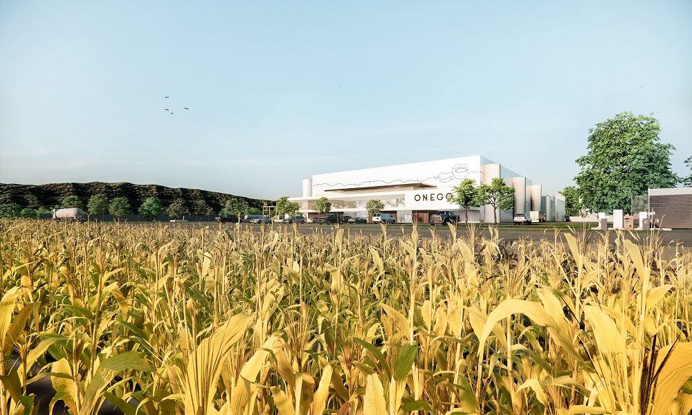 Onego Bio clears major milestones to bring bioidentical egg white protein to US