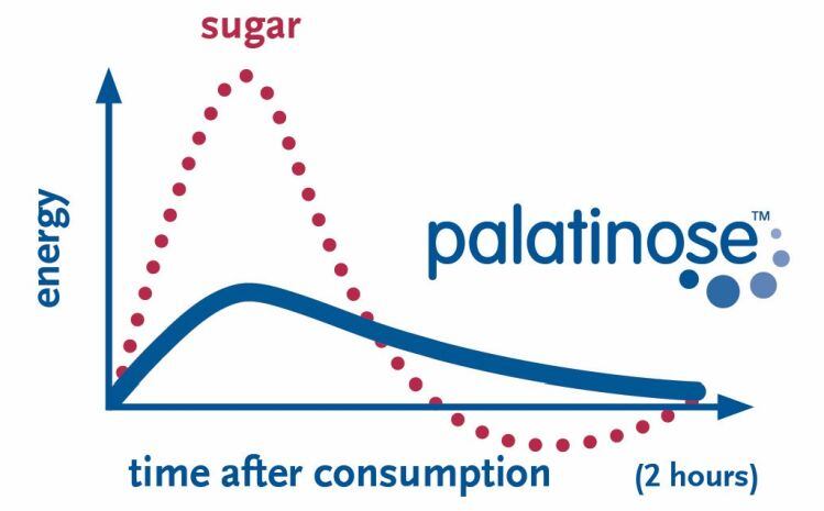 BENEO-Isomaltulose-should-be-excluded-from-total-and-added-sugar-labeling.jpg