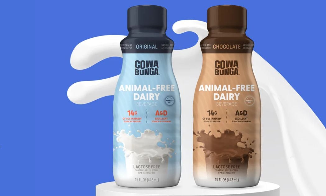 Nestlé dips its toes into 'animal-free' waters with Cowabunga beverage in partnership with Perfect Day