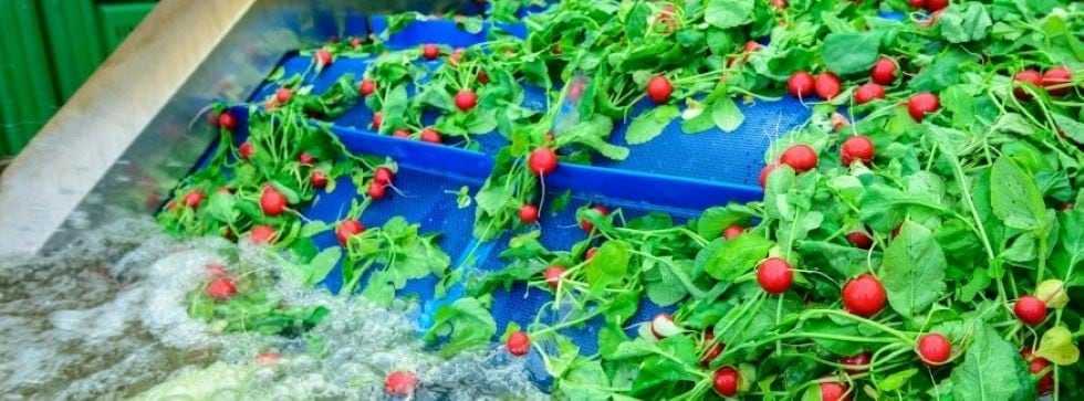 Customized-high-dilution-stable-silicone-antifoams-and-emulsions-for-efficient-production-lines.jpg