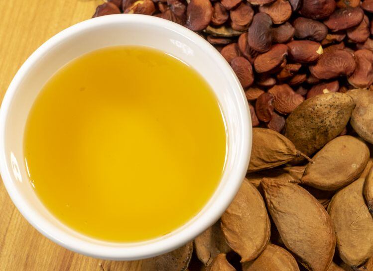 Pongamia-oil-TerViva.jpg