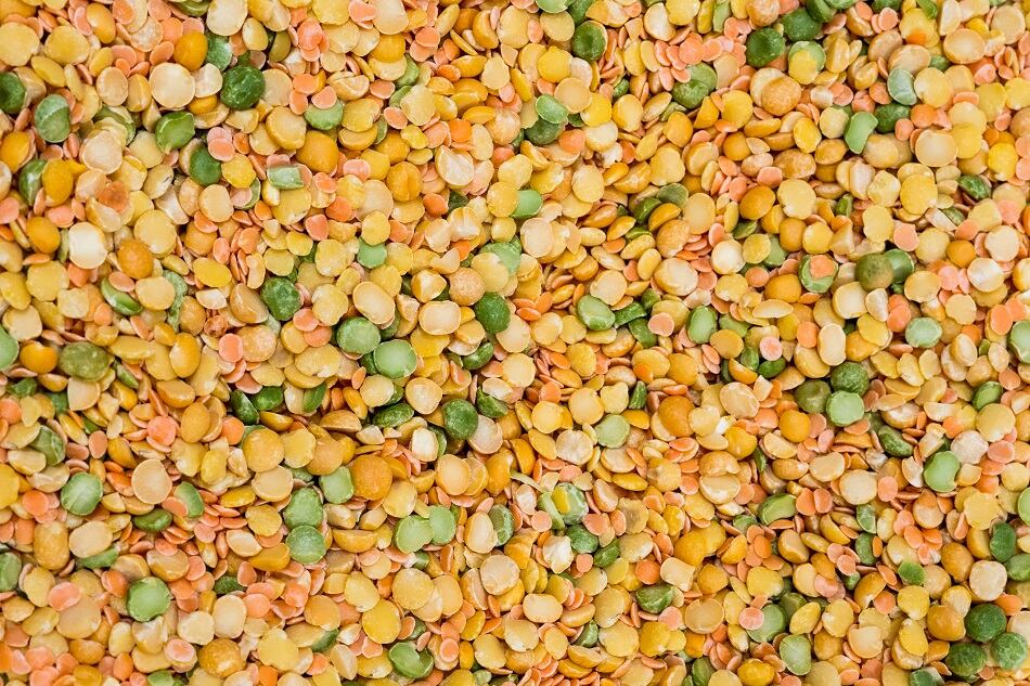 Protein Industries Canada, Ingredion, and others invest over $19m in advancing plant protein production