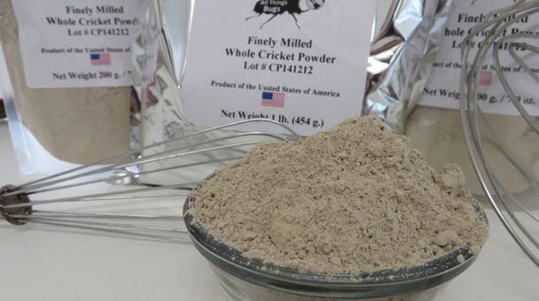 All-Things-Bugs-cricket-flour.jpg