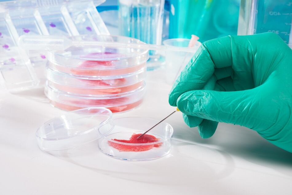 Five-startups-form-alliance-to-provide-clear-path-to-market-for-cell-based-meat.jpg