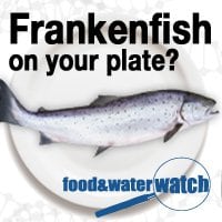 frankenfish-foodandwaterwatch.jpg