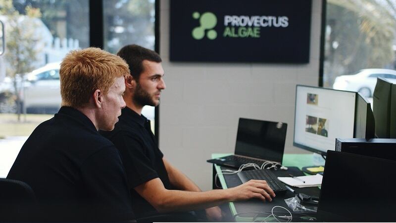 Provectus Algae secures $11.4m to scale sustainable synthetic biology biomanufacturing platform