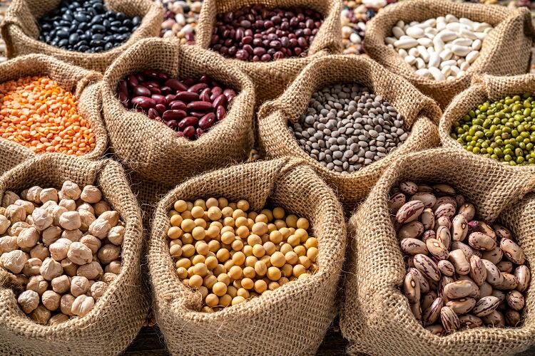 plant-proteins-MEDITERRANEAN.jpg
