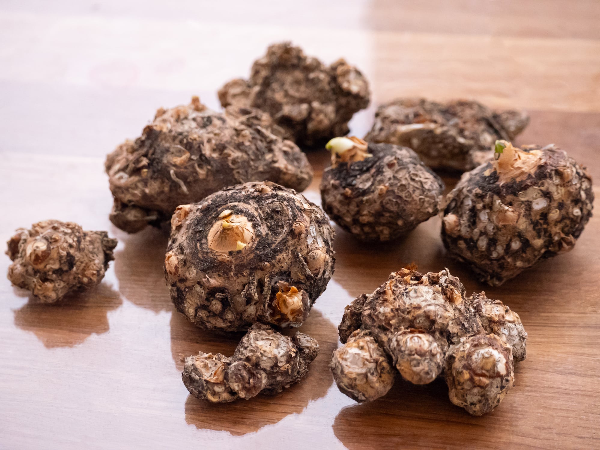 The US konjac market is projected to grow to $630 million by 2030, according to a Fact.MR analysis.