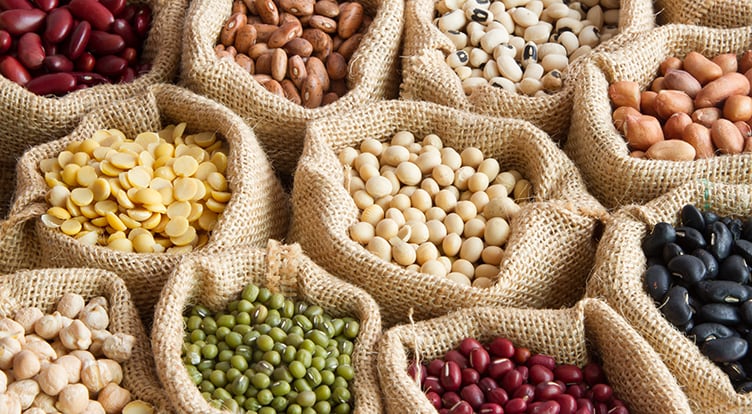 Next-Generation-Plant-Protein.jpg