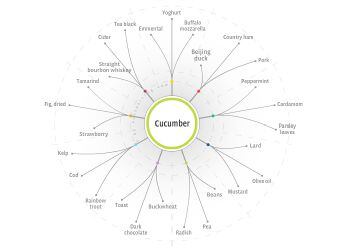 Flavor-tree-foodpairing.jpg