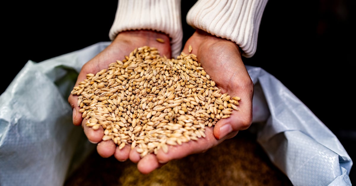 Edacious & ROA partner to measure nutritional impact of regenerative ...