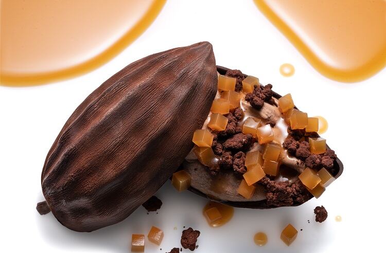 Cocoa fruit juice concentrate