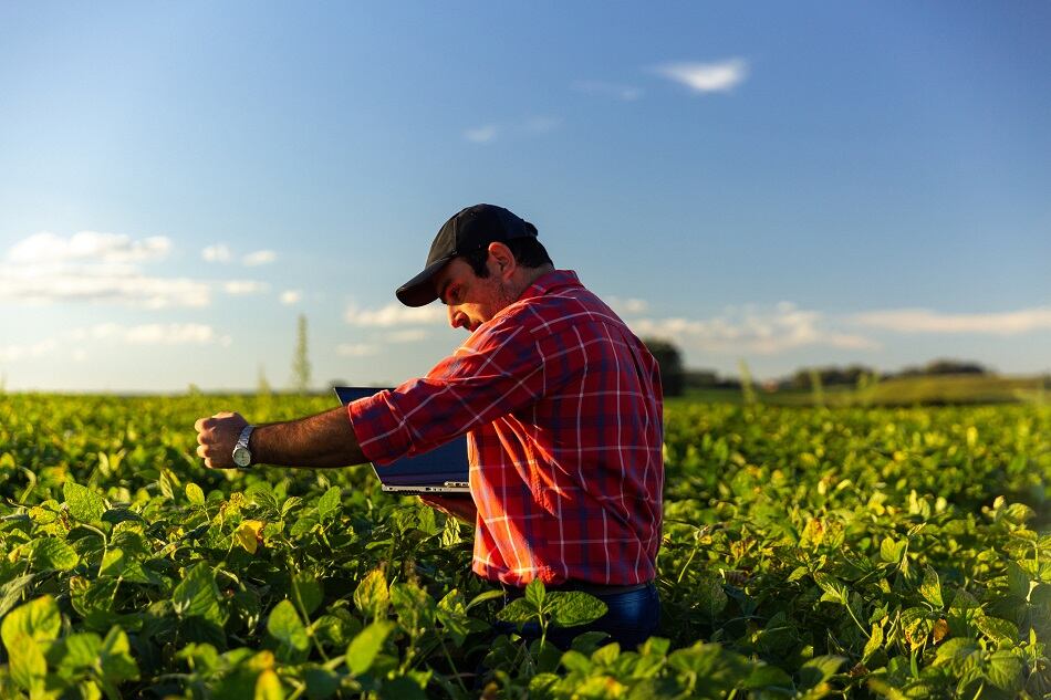 ADM to commercialize Benson Hill ultra-high protein soy ingredients with first products to launch in early 2023