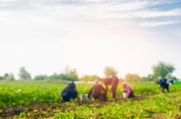 OTA asks USDA for funding flexibility, remote inspections and increased enforcement during pandemic