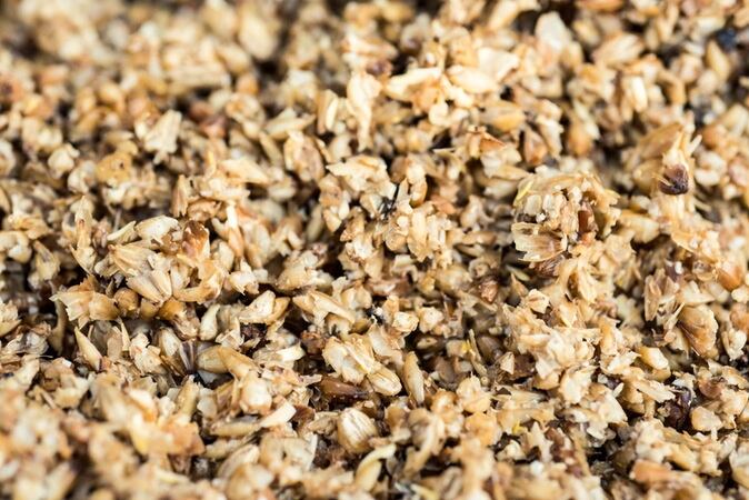 Puratos and ReGrained enter partnership for upcycled bakery innovation