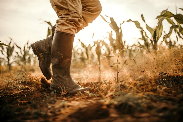 UN demands more diverse food production methods as report warns climate change risks are greater than thought   