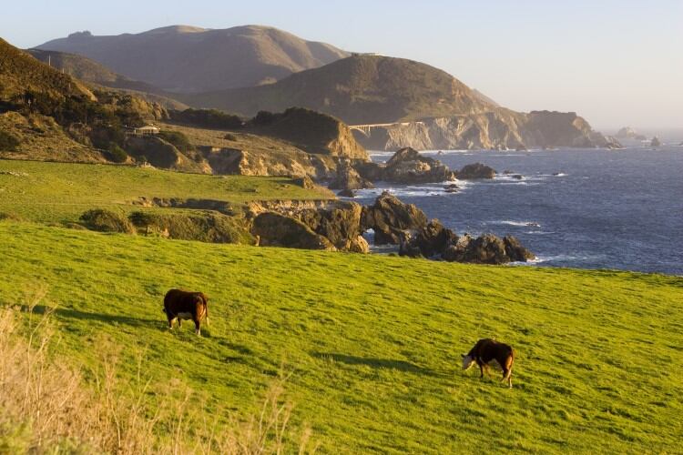 Californian dairy businesses bag US$300,000 in first round of DBII funding