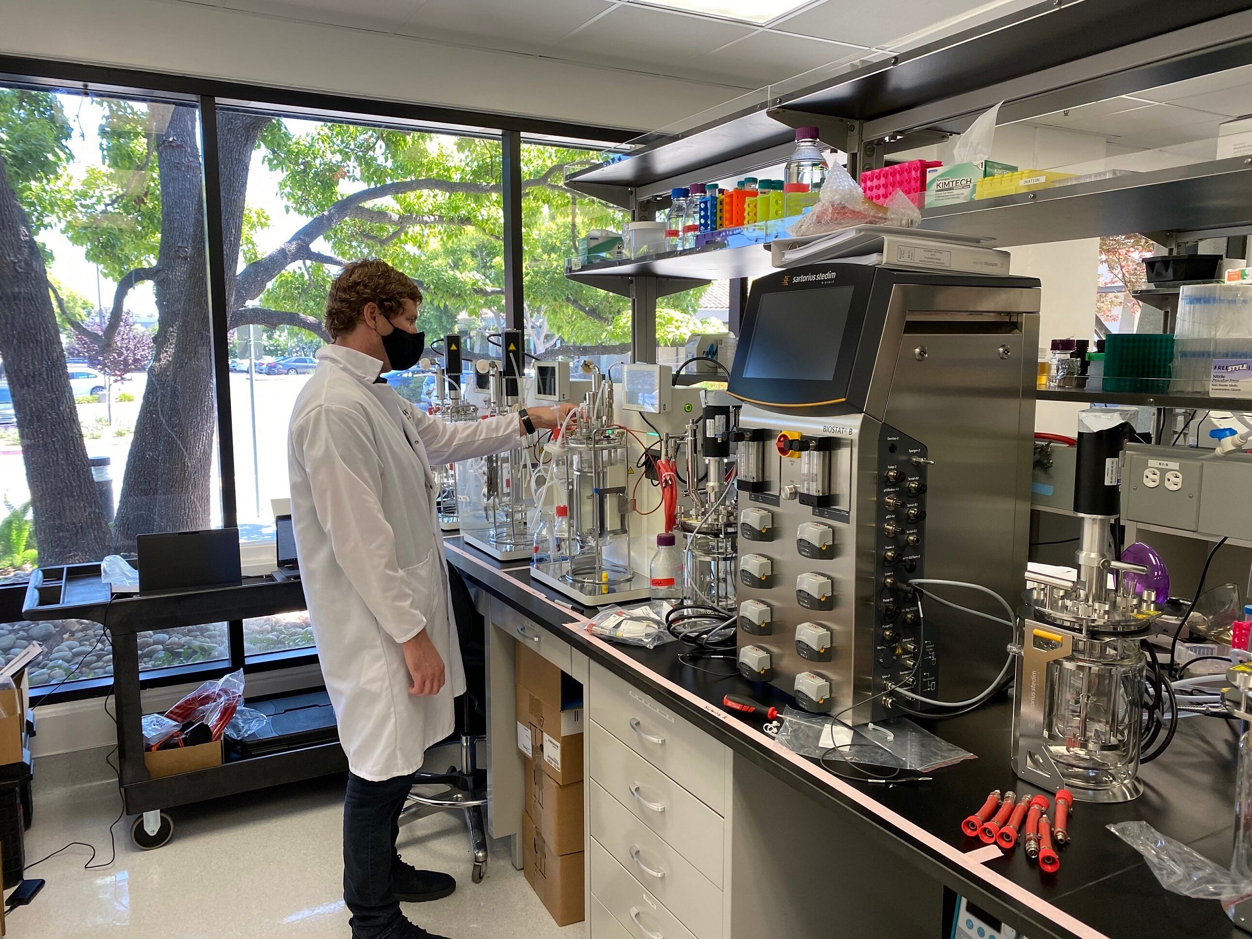 Willow-Biosciences-to-start-pilot-production-of-biosynthetic-CBG-in-Q3.jpg