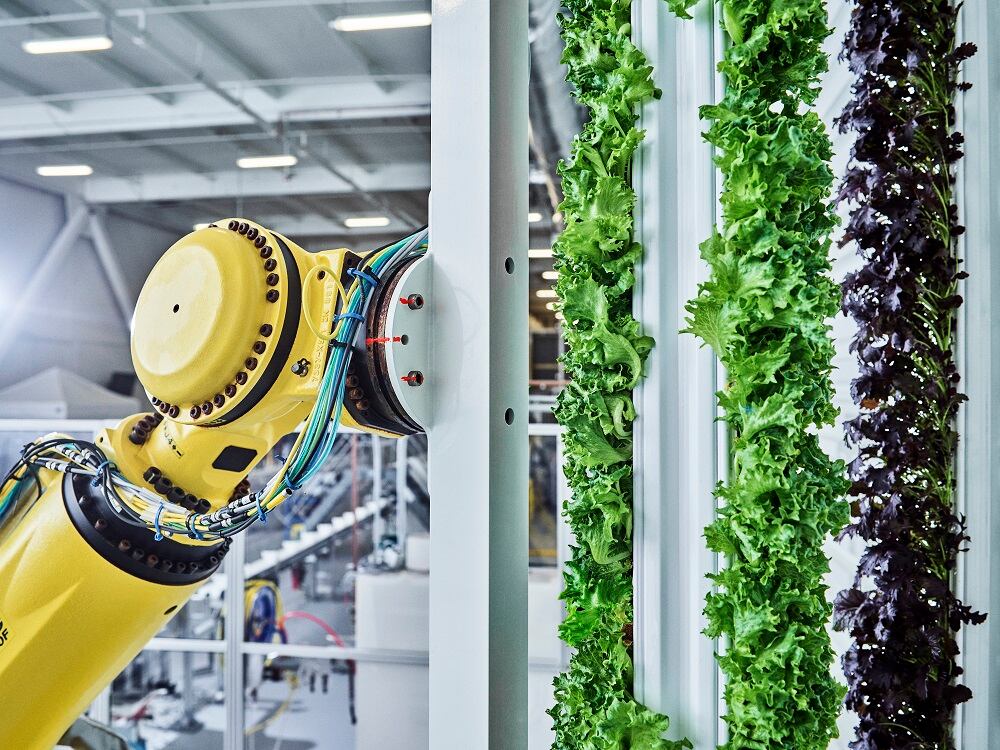 Plenty closes $400m Series E financing: 'The indoor farming sector is at an exciting inflection point'